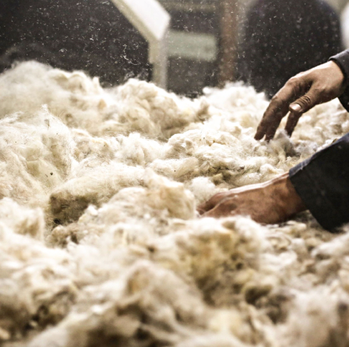 Benefits of Wool Benefits of Wool